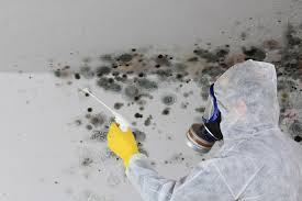 Asbestos and Lead Testing During Mold Inspection in Laguna Vista, TX